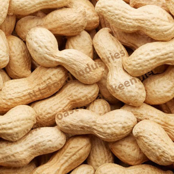 Roasted Groundnut